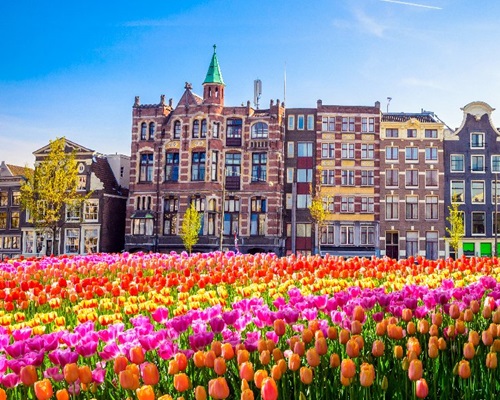 Amsterdam - Parada Florilor