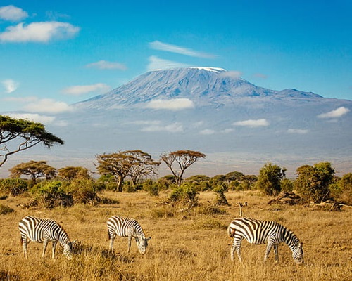 Vacanta Kenya